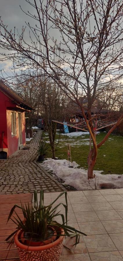 ホテル Casa Terzea Rîşnov エクステリア 写真