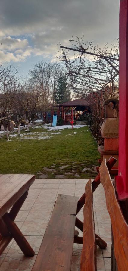 ホテル Casa Terzea Rîşnov エクステリア 写真