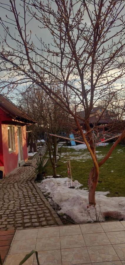 ホテル Casa Terzea Rîşnov エクステリア 写真